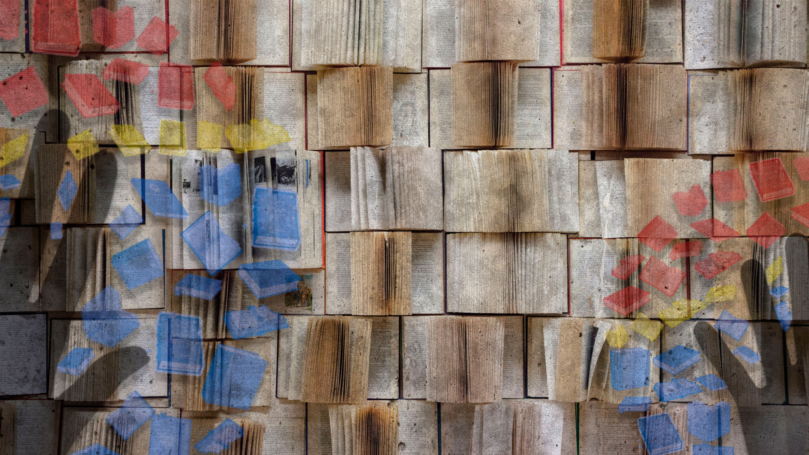 Canal Biblionestor
